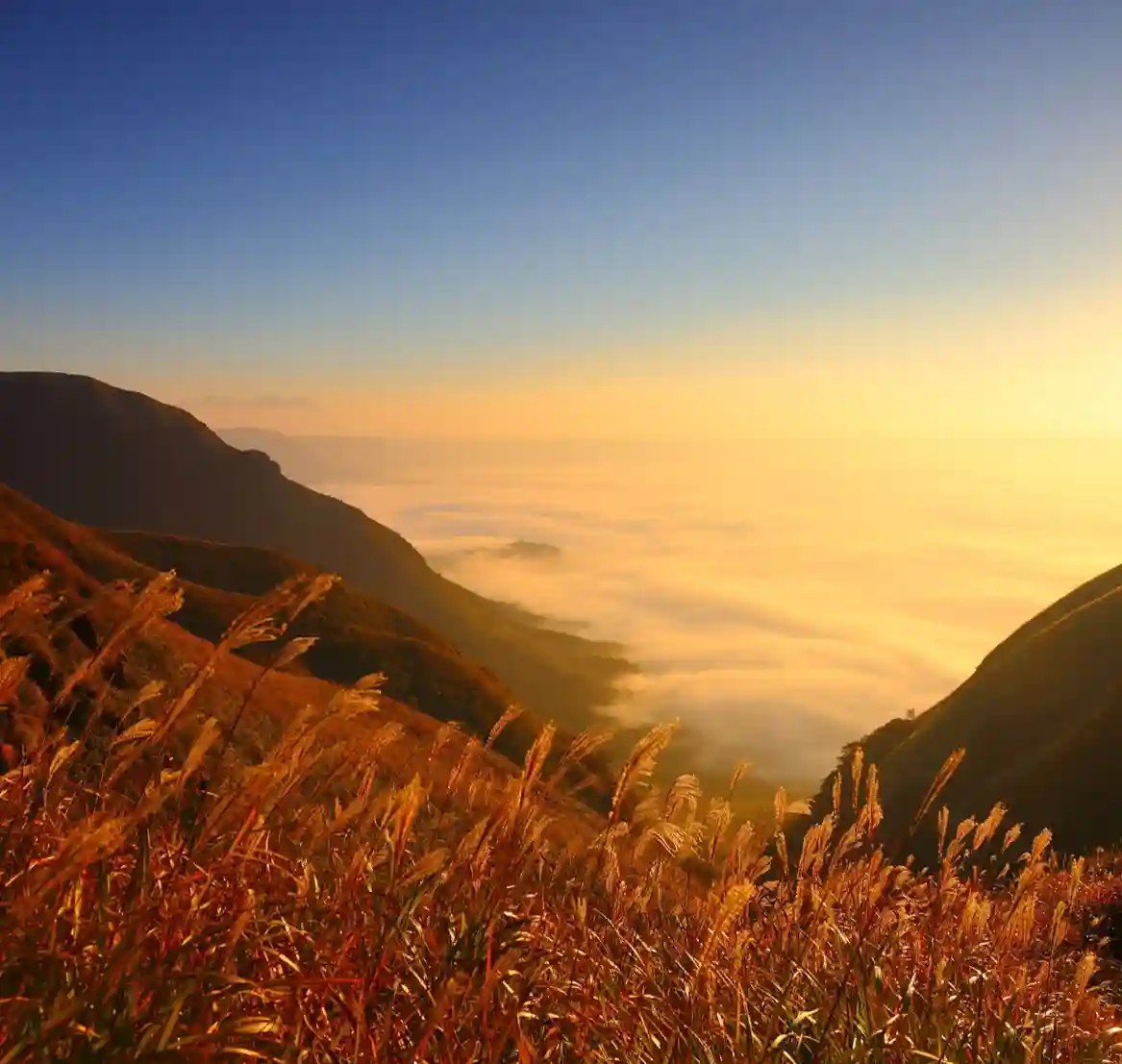 阿蘇の山と雲海の風景